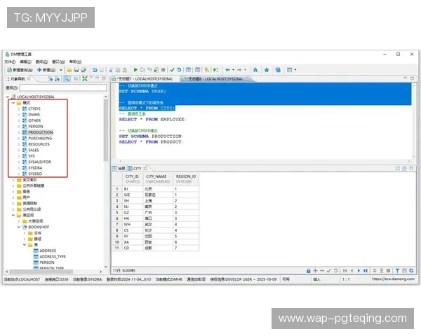 新手必看PG数据库客户端安装完整流程及配置技巧分享